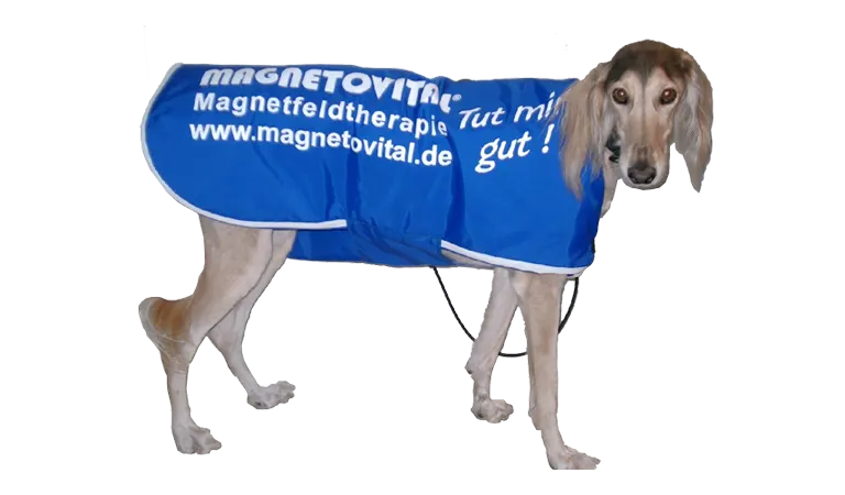 Magnetovital Magnetfeldtherapie Hund